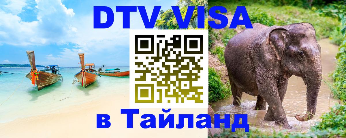 Оформление DTV визы под ключ: стоимость и тарифы, только загранпаспорт - 05.10.2025 
